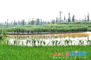 普潤鄉蔡家店村 水利設施改善助力村民發展水產養殖